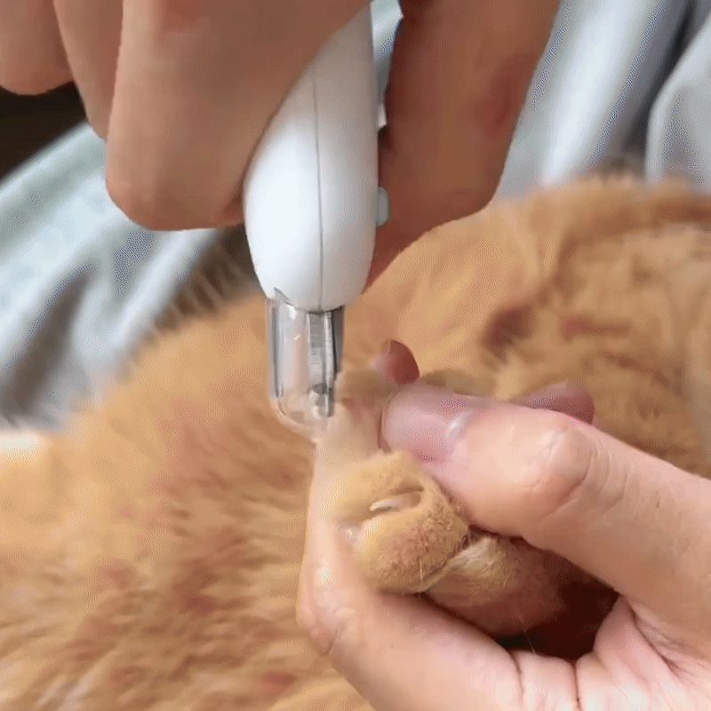 Cat Dog Nail Clipper Cutter Professional